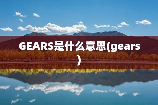 GEARS是什么意思(gears)