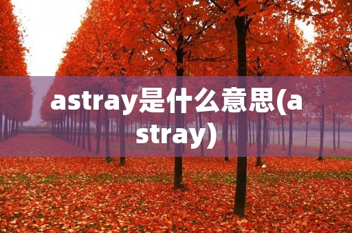 astray是什么意思(astray)