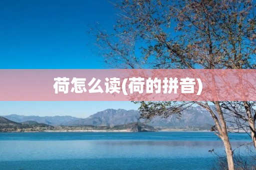 荷怎么读(荷的拼音)