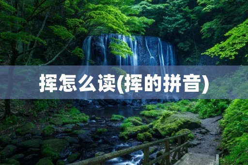 挥怎么读(挥的拼音)