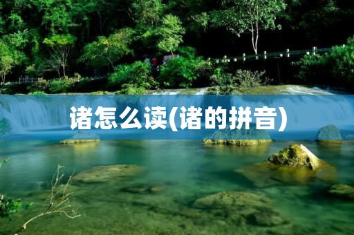 诸怎么读(诸的拼音)