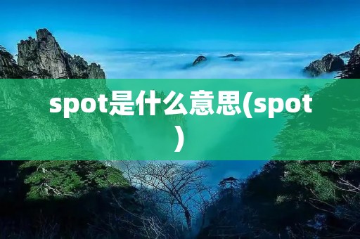 spot是什么意思(spot)