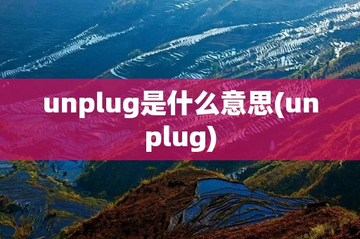 unplug是什么意思(unplug)