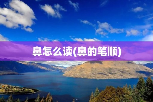鼻怎么读(鼻的笔顺)