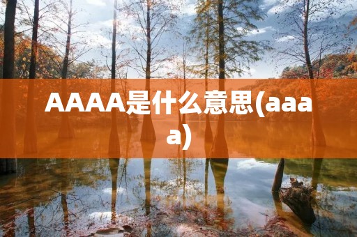 AAAA是什么意思(aaaa)