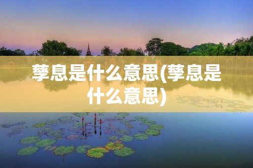 孳息是什么意思(孳息是什么意思)