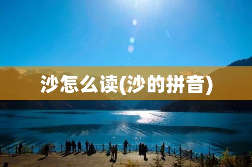 沙怎么读(沙的拼音)