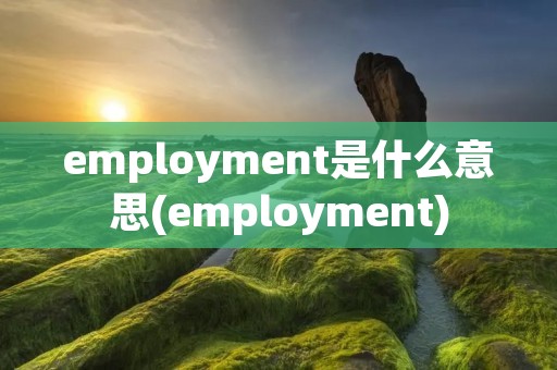 employment是什么意思(employment)