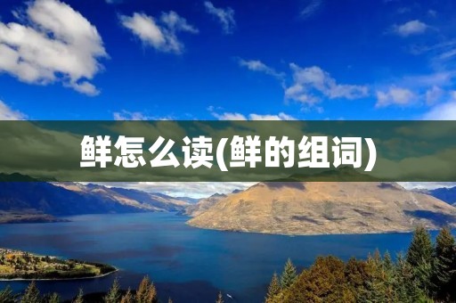 鲜怎么读(鲜的组词)