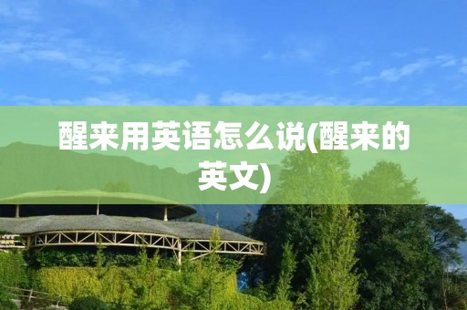 醒来用英语怎么说(醒来的英文)
