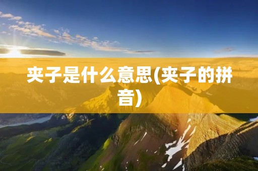 夹子是什么意思(夹子的拼音)