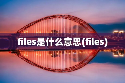 files是什么意思(files) files是什么意思(files)