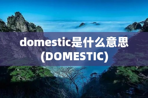 domestic是什么意思(DOMESTIC) domestic是什么意思(DOMESTIC)