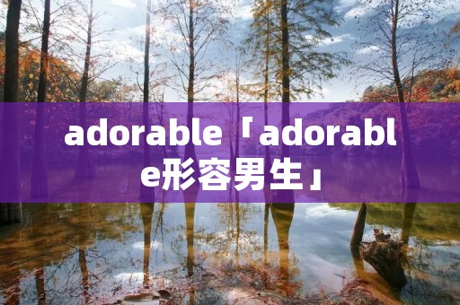 adorable「adorable形容男生」