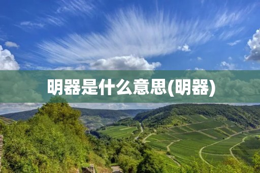 明器是什么意思(明器)