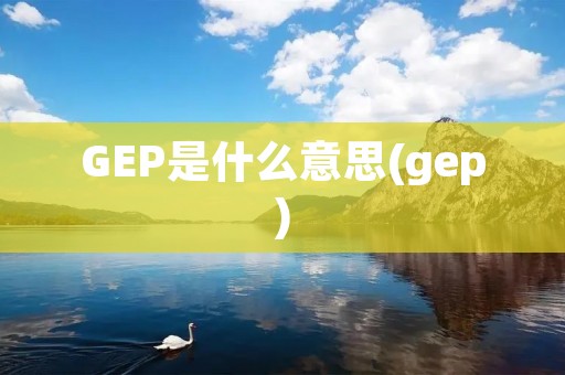 GEP是什么意思(gep)