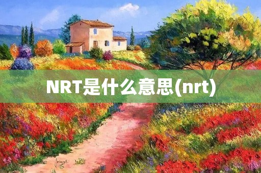 NRT是什么意思(nrt)