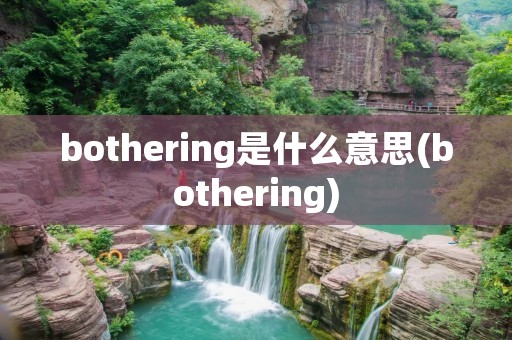 bothering是什么意思(bothering)