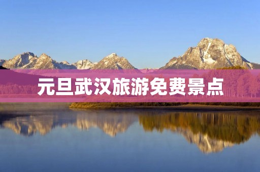 元旦武汉旅游免费景点