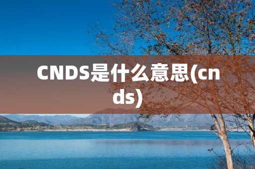 CNDS是什么意思(cnds)