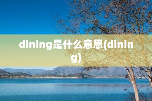 dining是什么意思(dining)