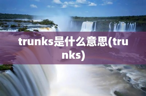 trunks是什么意思(trunks)
