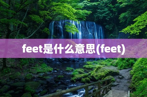 feet是什么意思(feet)