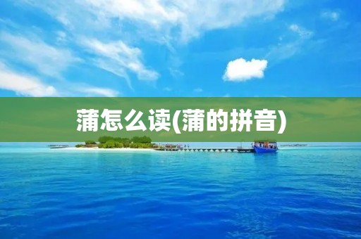 蒲怎么读(蒲的拼音)