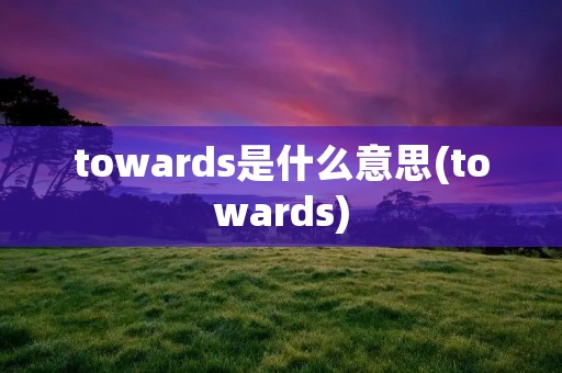 towards是什么意思(towards)