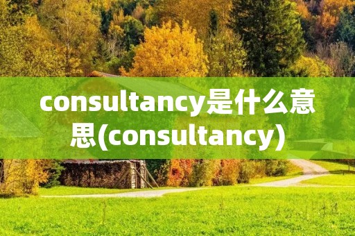 consultancy是什么意思(consultancy)