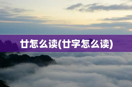 廿怎么读(廿字怎么读)