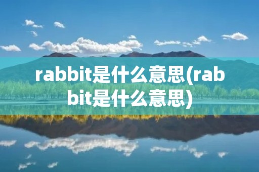 rabbit是什么意思(rabbit是什么意思)