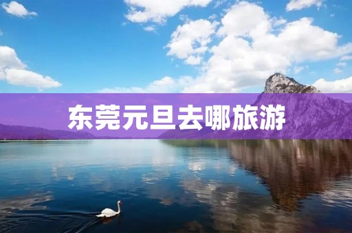 东莞元旦去哪旅游
