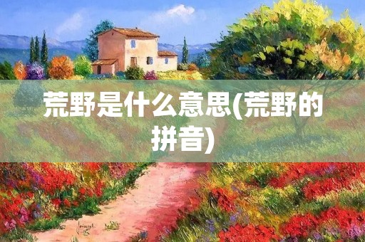 荒野是什么意思(荒野的拼音)