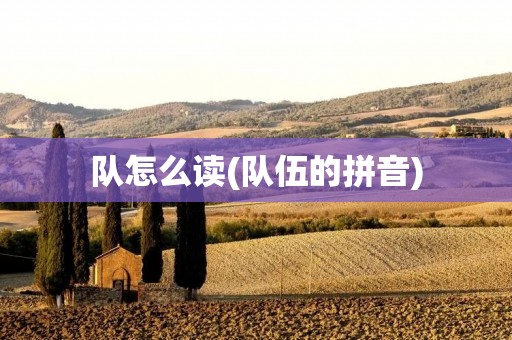 队怎么读(队伍的拼音)