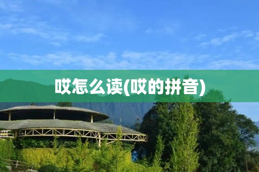 哎怎么读(哎的拼音)