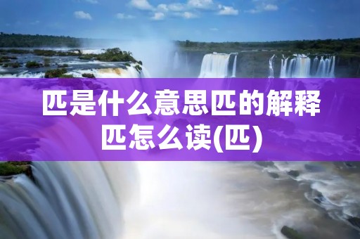 匹是什么意思匹的解释匹怎么读(匹)