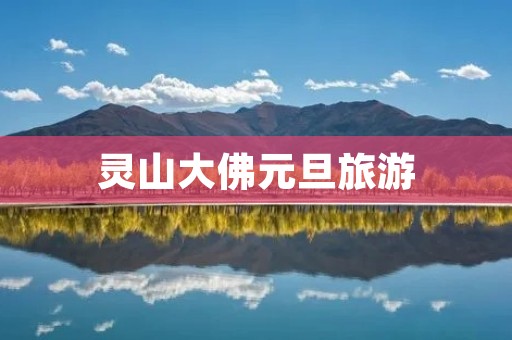 灵山大佛元旦旅游