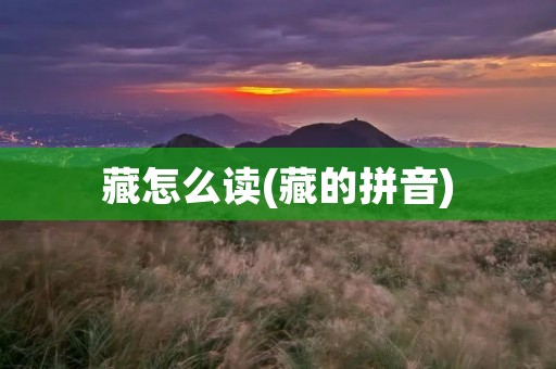 藏怎么读(藏的拼音)