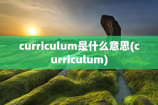 curriculum是什么意思(curriculum)