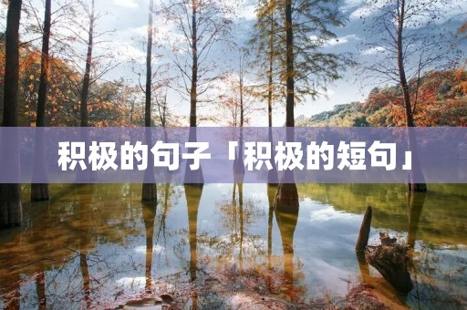 积极的句子「积极的短句」