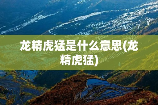 龙精虎猛是什么意思(龙精虎猛)