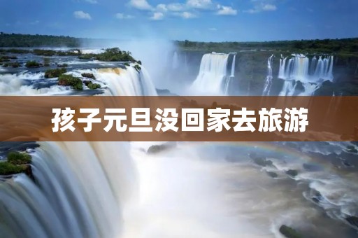 孩子元旦没回家去旅游