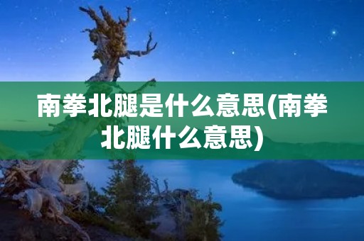 南拳北腿是什么意思(南拳北腿什么意思)