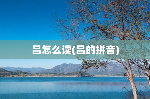吕怎么读(吕的拼音)
