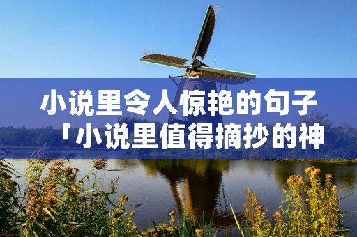 小说里令人惊艳的句子「小说里值得摘抄的神仙句子」