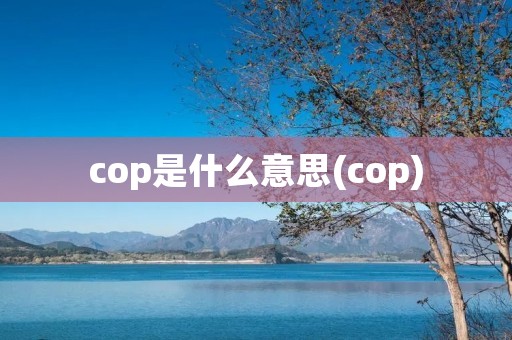 cop是什么意思(cop)