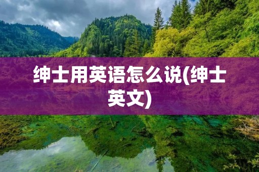 绅士用英语怎么说(绅士英文)