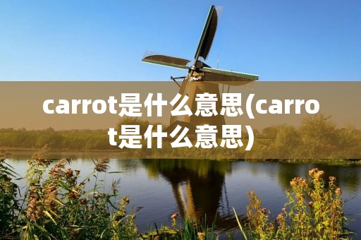 carrot是什么意思(carrot是什么意思)
