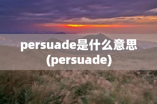 persuade是什么意思(persuade)